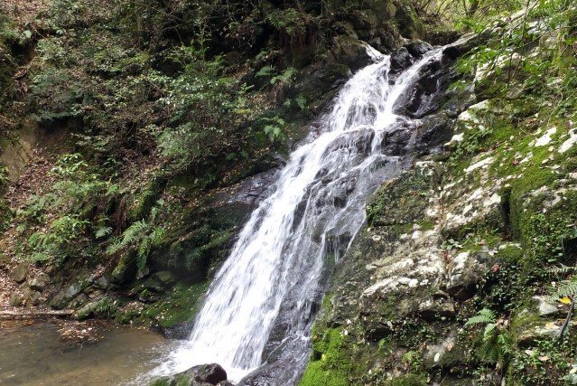 🏞️ 셋쓰쿄 공원 (Settsukyo Park) 이미지 7